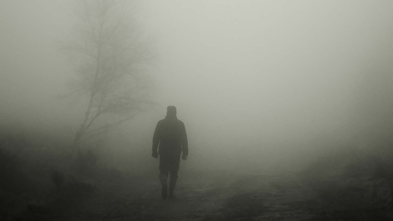 كم من شخص وقع فريسة، وضاع مستقبله بسبب قناع صديق مقرب منه، وكم من علاقات أسرية تفككت وتمزقت لأن الحياة كانت قائمة على أقنعة مزيفة